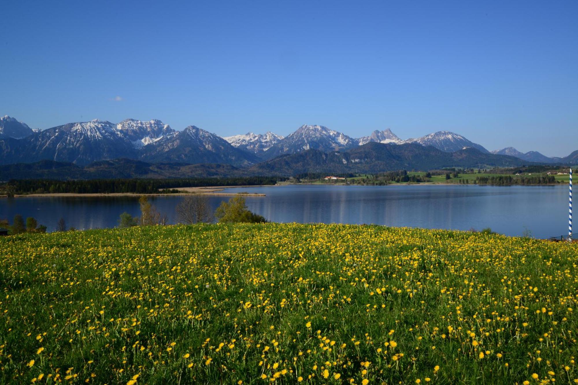 Hintere Schoene Rieden am Forggensee